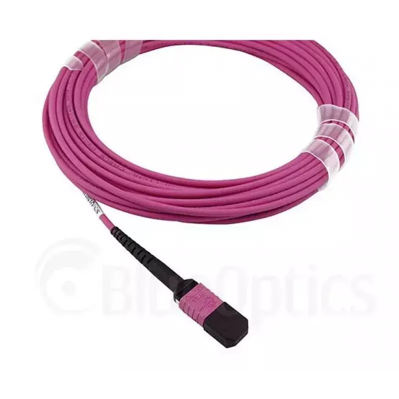 BlueOptics EMC CBL-MPO12-4LC-OM4-2M Glasfaserkabel MPO 4x LC 2m