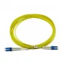 BlueOptics CAB-SMF-LC-LC-1-BO InfiniBand Glasfaserkabel 1 m LC/APC