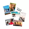 HP Matte Fotopapier 180 g/m² 10 x 15 cm (101 x 152 mm) 25 Blatt