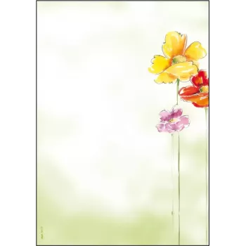 Kunstpapier Sigel DP123 50 Blatt