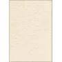 Kunstdruckpapier Sigel DP605 100 Blatt Beige 90 g/m²