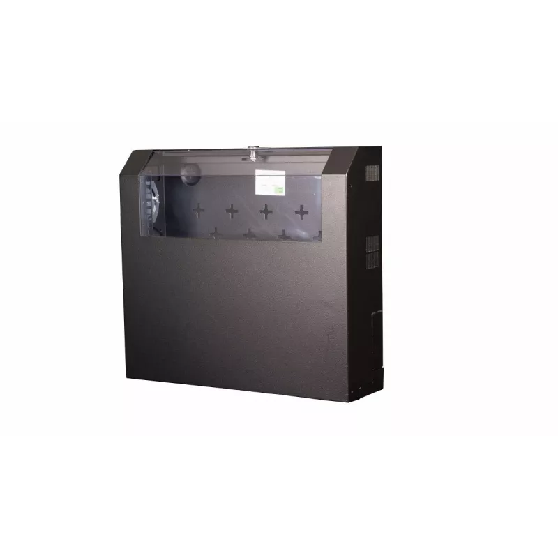 Wandmontierbarer Rack Equip schlank Flex 19' Schrank 5U RAL9005 Schwarz