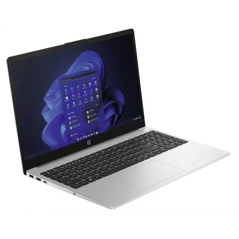 HP 250 G10 Intel® N N100 Laptop 39,6 cm (15,6 Zoll) Full HD 8 GB DDR4-SDRAM 256 GB SSD Wi-Fi 6 (802.11ax) Windows 11 Home Silber