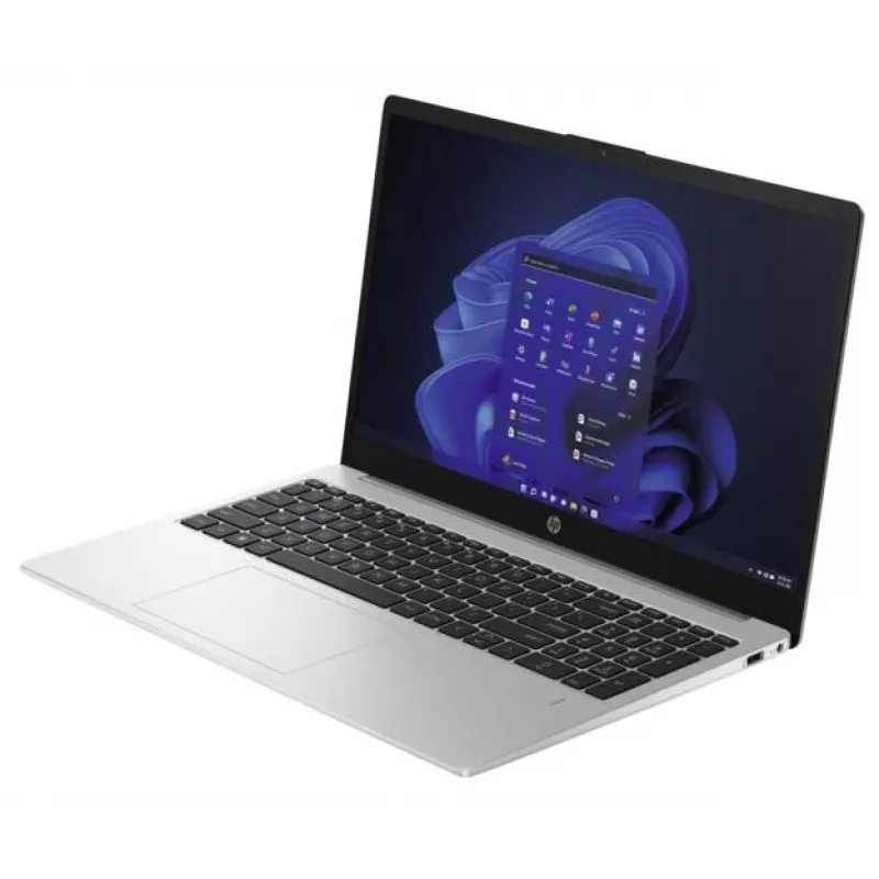 HP 250 G10 Intel® N N100 Laptop 39,6 cm (15,6 Zoll) Full HD 8 GB DDR4-SDRAM 256 GB SSD Wi-Fi 6 (802.11ax) Windows 11 Home Silber