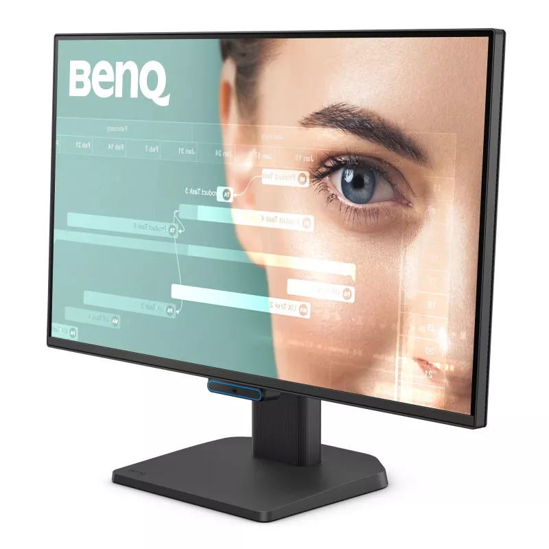 Computermonitor BenQ GW2490C 60,5 cm (23,8 Zoll) Full HD 1920×1080 5 ms 178° VESA Schwarz mit Lautsprechern
