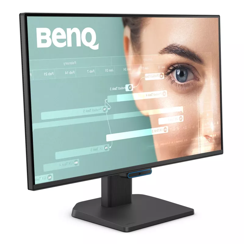 Computermonitor BenQ GW2490C 60,5 cm (23,8 Zoll) Full HD 1920×1080 5 ms 178° VESA Schwarz mit Lautsprechern