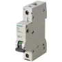 Siemens 5SL4106-6 Schutzschalter Miniatur-Leitungsschutzschalter Typ B 1