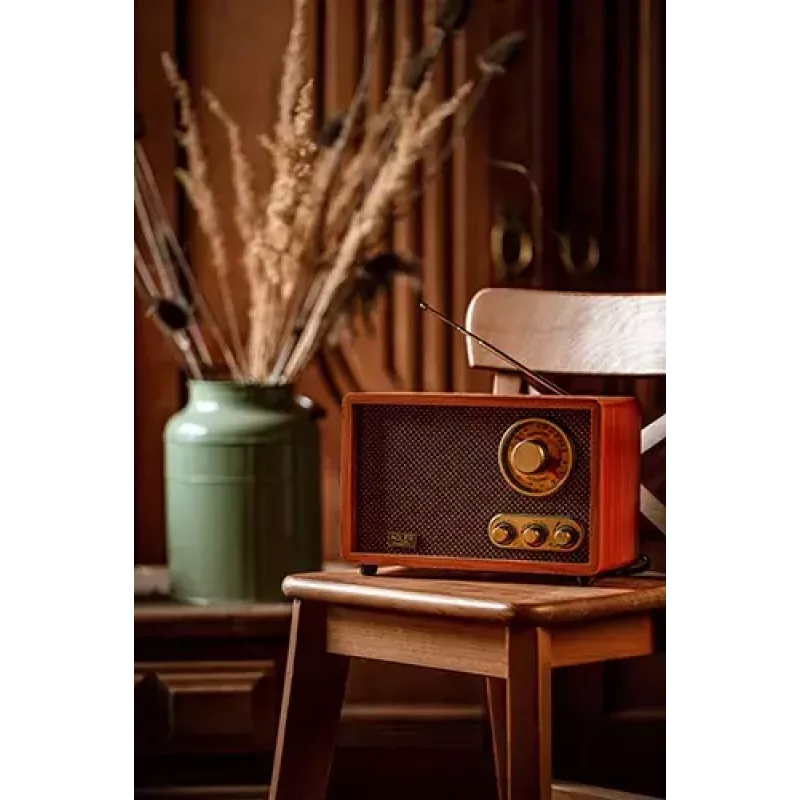 Tragbares Radio Adler AD 1171 – AM/FM, 10 W RMS, Bluetooth, externe Antenne, bronze, 290×200×172 mm