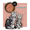 Nassfutter für Katzen 3coty Turkey with rabbit, 80 g can — complete adult cat feed, protein 20%, fat 9%