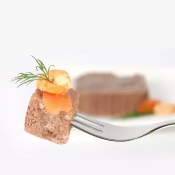 Nassfutter für Katzen animonda Vom Feinsten Mature Lachs 100 g — ausgewachsene Katzen, Schale, gluten- und sojafrei