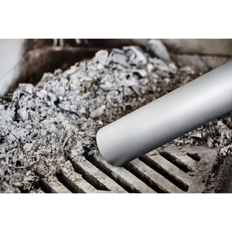 Electrolux ZE004 Bigdirt Ascheabscheider Universal