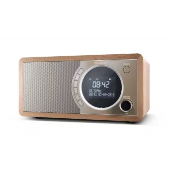 Sharp DR-450 Personal Digital Braun, Edelstahl