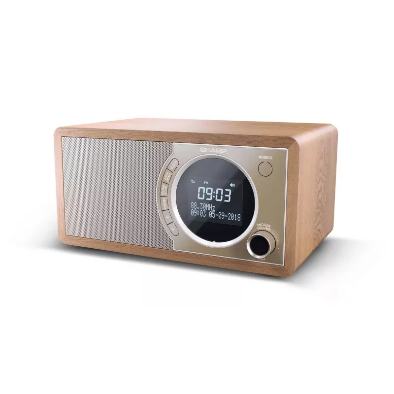 Sharp DR-450 Personal Digital Braun, Edelstahl