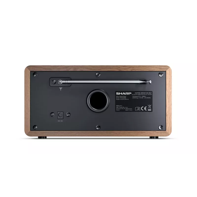 Sharp DR-450 Personal Digital Braun, Edelstahl