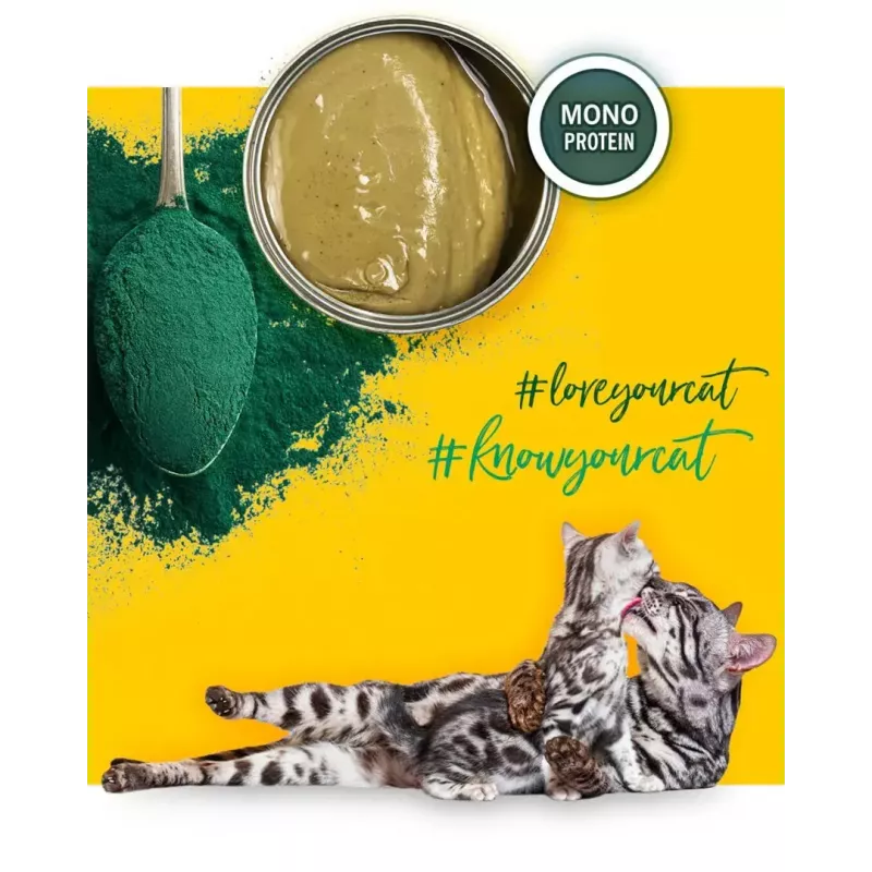 Nassfutter für Katzen 3coty Huhn mit Spirulina für Kätzchen und säugende Katzen 80 g, Alleinfuttermittel, 19 % Protein, 8 % Fett