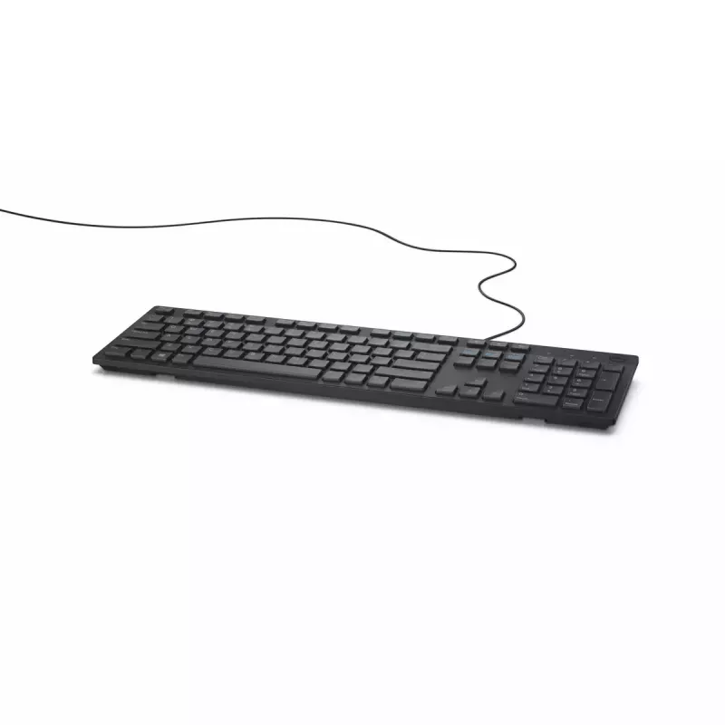 DELL KB216 Tastatur Universal USB QWERTY US International Schwarz
