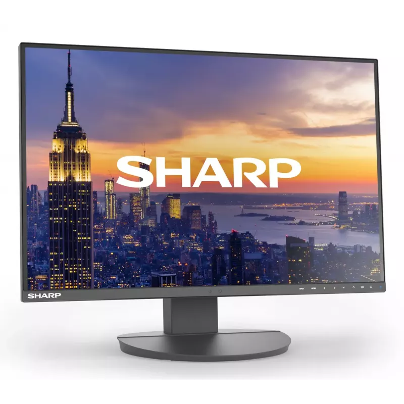 24 Zoll Sharp MultiSync EA242W LCD-Monitor IPS 1920 x 1200 16:10 5 ms USB 3.2 Hub VESA höhenverstellbar Schwarz