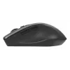ASUS WT425 Maus Office Rechtshänder RF Kabellos Optisch 1600 DPI