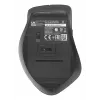ASUS WT425 Maus Office Rechtshänder RF Kabellos Optisch 1600 DPI