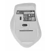 ASUS WT425 Maus Office Rechtshänder RF Wireless Optisch 1600 DPI