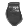 ASUS WT425 Maus Office Rechtshänder RF Kabellos Optisch 1600 DPI