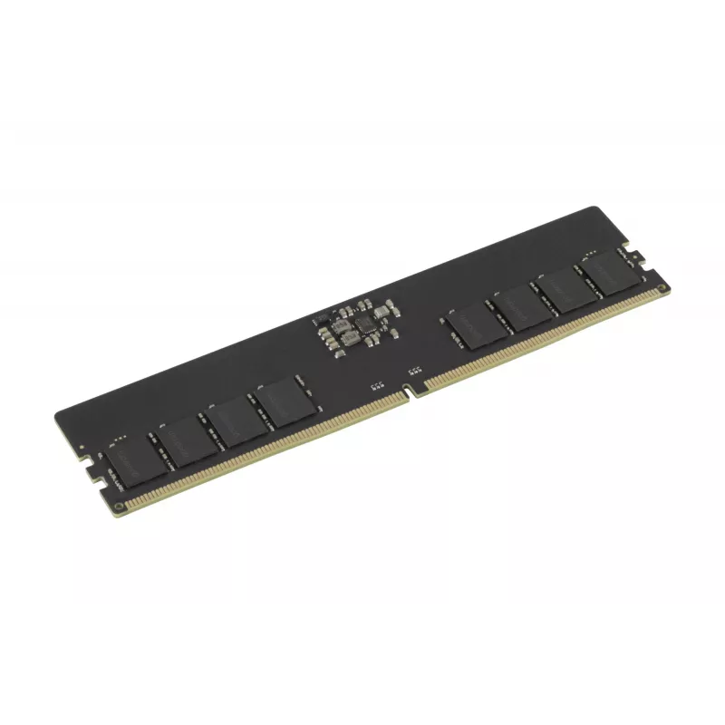 Goodram Pami DDR5 16GB/4800 CL40 - 16 GB Speichermodul 1 x 16 GB 288-Pin DIMM ECC