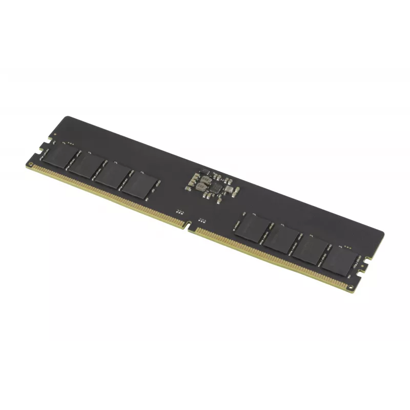 Goodram Pami DDR5 16GB/4800 CL40 - 16 GB Speichermodul 1 x 16 GB 288-Pin DIMM ECC