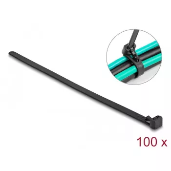 Klett-Kabelbinder DeLOCK 300x7,6mm schwarz 100 Stück