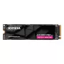 Kioxia Exceria PRO G2 2 TB M.2 PCIe 5.0 NVMe SSD LVE10Z2T04G8
