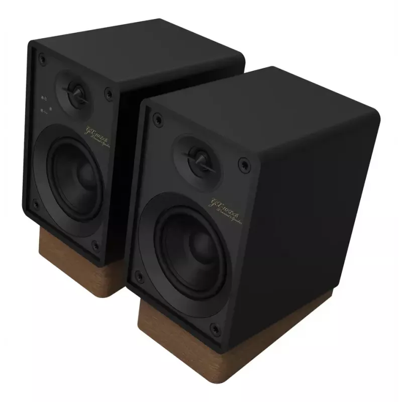 Onkyo GX-10DB 2-Wege 2.0 Lautsprecher, kabelgebunden & kabellos, 30 W RMS, Schwarz