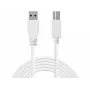 Sandberg USB 3.0 A-B-Kabel 1,8 m, 1,8 m, USB A, USB B, USB 3.2 Gen 1 (3.1 Gen 1), 5 Gbit/s, Weiß