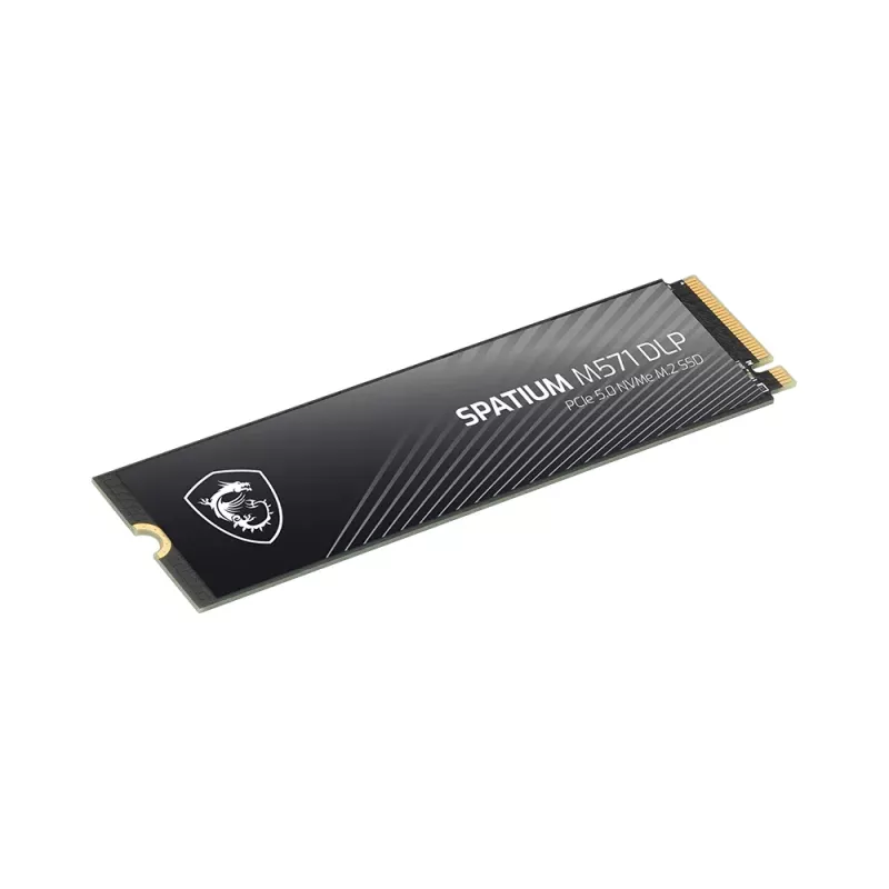 MSI SPATIUM M571 DLP PCIe 5.0 NVMe M.2 2TB PCI Express 5.0 3D NAND