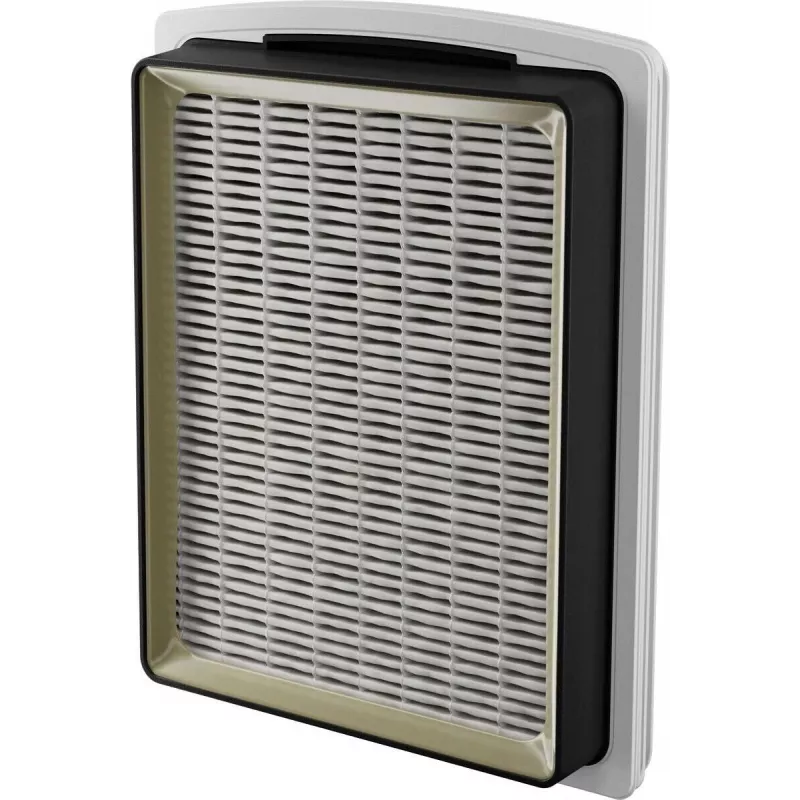 Electrolux EL51C1LDB 2-L-Bodenstaubsauger Trocken 1000 W beutellos