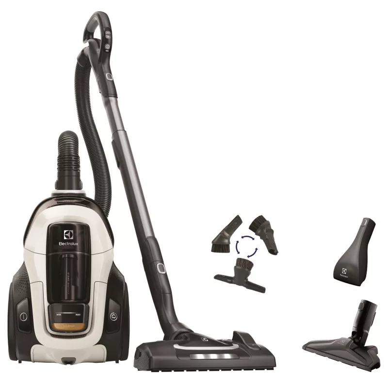Electrolux PC91-ALRG Bodenstaubsauger Trocken 650 W Beutellos