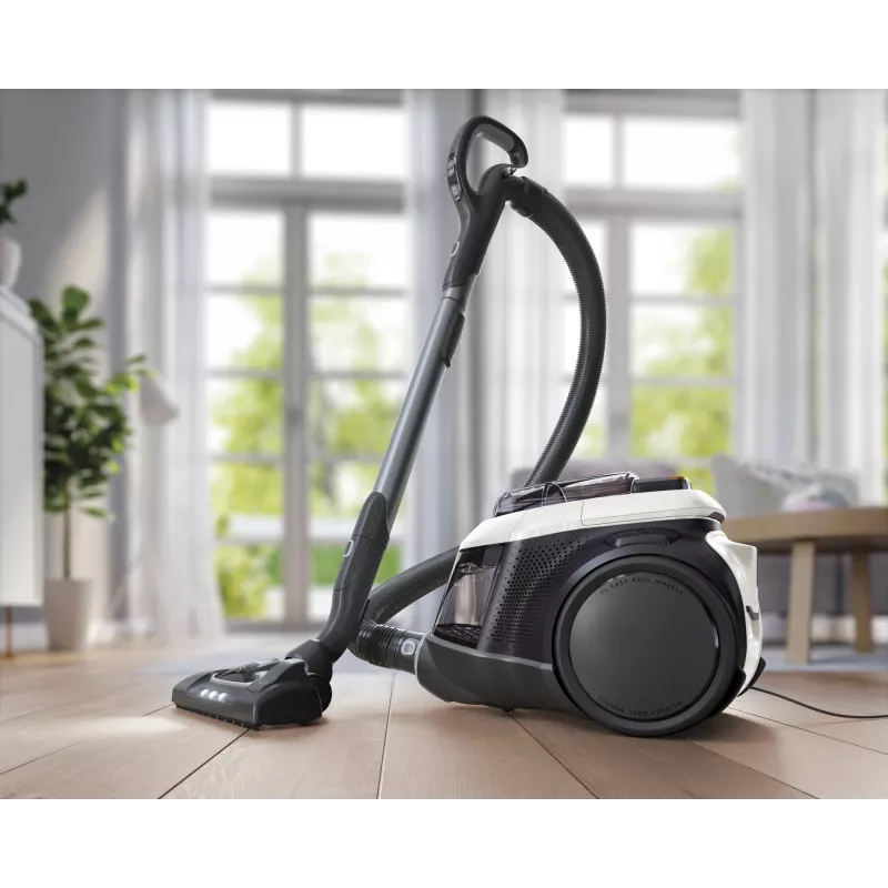 Electrolux PC91-ALRG Bodenstaubsauger Trocken 650 W Beutellos