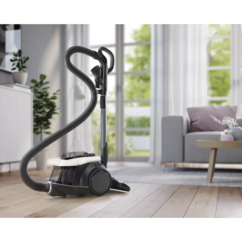 Electrolux PC91-ALRG Bodenstaubsauger Trocken 650 W Beutellos
