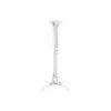 Deckenhalterung Multibrackets M Universal Projector Mount I