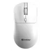 Sandberg Wireless Maus Saver Weiß, Beidhändig, RF Wireless, 1600 DPI, Weiß