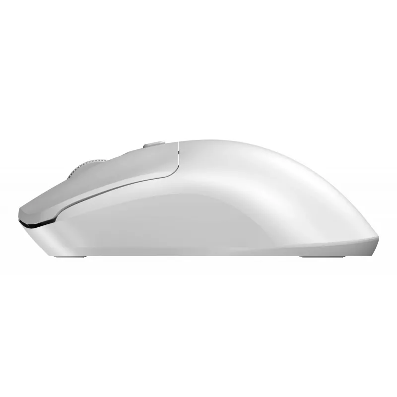 Sandberg Wireless Maus Saver Weiß, Beidhändig, RF Wireless, 1600 DPI, Weiß
