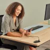 Fellowes 100137177 Stromverlängerung 2 m 1 AC-Ausgang Innenbereich Schwarz