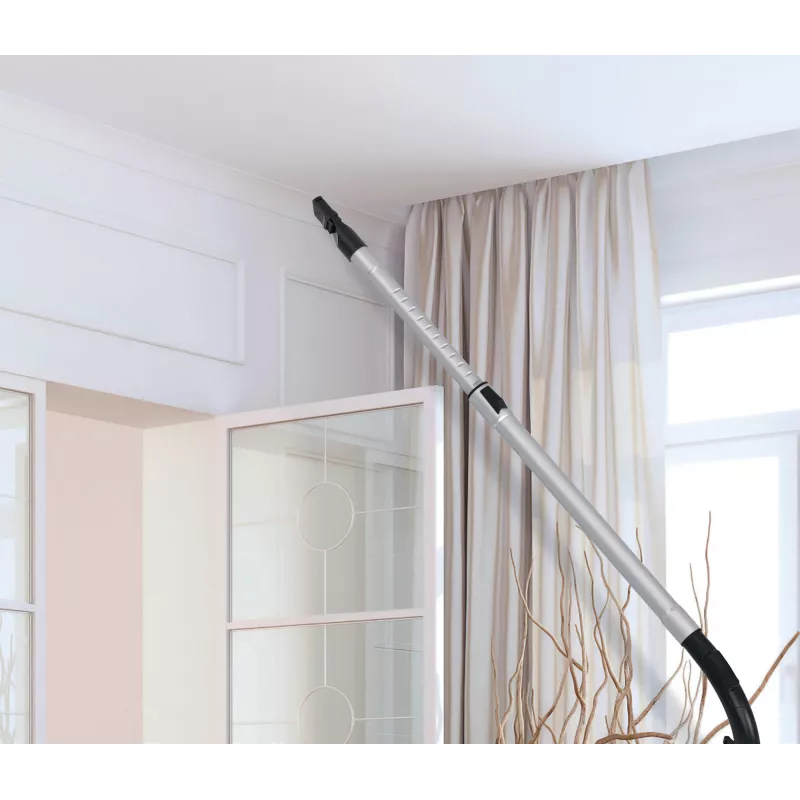 Hoover HP210P 011 2.5 L Bodenstaubsauger Trocken 800 W beutellos