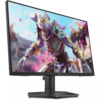 LCD-Computermonitor Dell SE2426HG 60,5 cm (23,8 Zoll) Full HD 1920×1080, 0,5 ms, 16:9, VESA, Schwarz