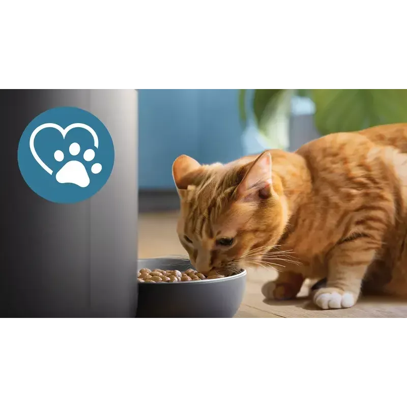 Automatischer Futterautomat Philips 5000er Serie PAW5320/02 mit Kamera, 4,5 l Futter- und Wasserkapazität, Kunststoffgehäuse, für den Innenbereich