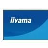 27 Zoll IIYAMA ProLite XB2796QSC-B1 IPS Quad HD 2560x1440 LED-Monitor, 4 ms, USB-C, Lautsprecher, höhenverstellbar, VESA