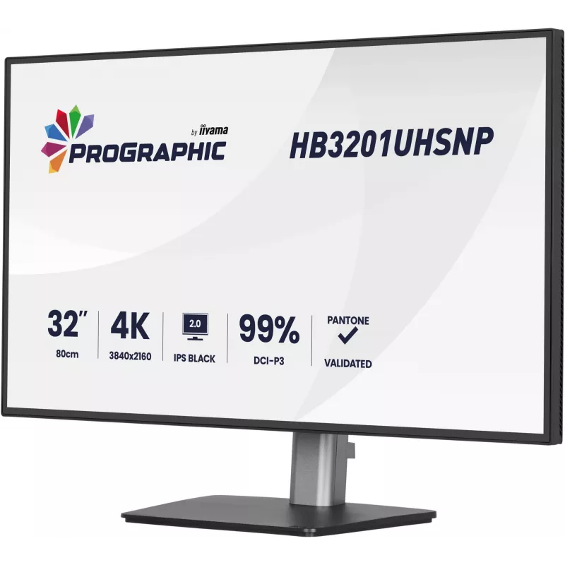 IIYAMA 32 Zoll ProGraphic HB3201UHSNP-B1 4K UHD IPS LCD-Monitor mit USB-C und DisplayPort