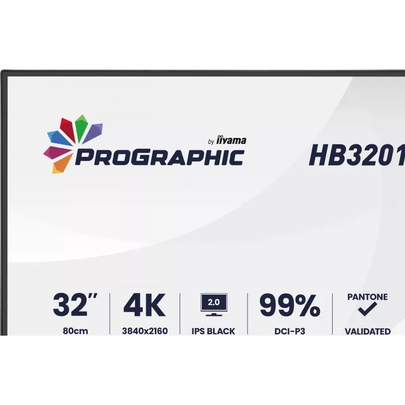 IIYAMA 32 Zoll ProGraphic HB3201UHSNP-B1 4K UHD IPS LCD-Monitor mit USB-C und DisplayPort