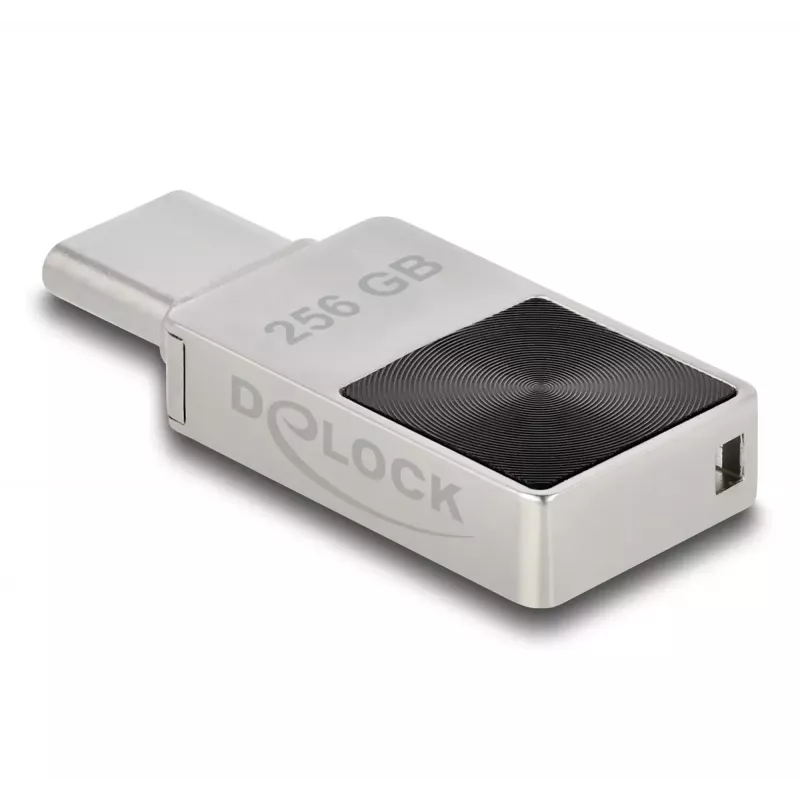 USB Flash Drive DeLOCK 256GB USB-C 3.2 Gen 1 Metallgehäuse
