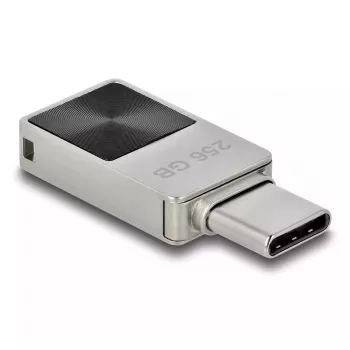 USB Flash Drive DeLOCK 256GB USB-C 3.2 Gen 1 Metallgehäuse