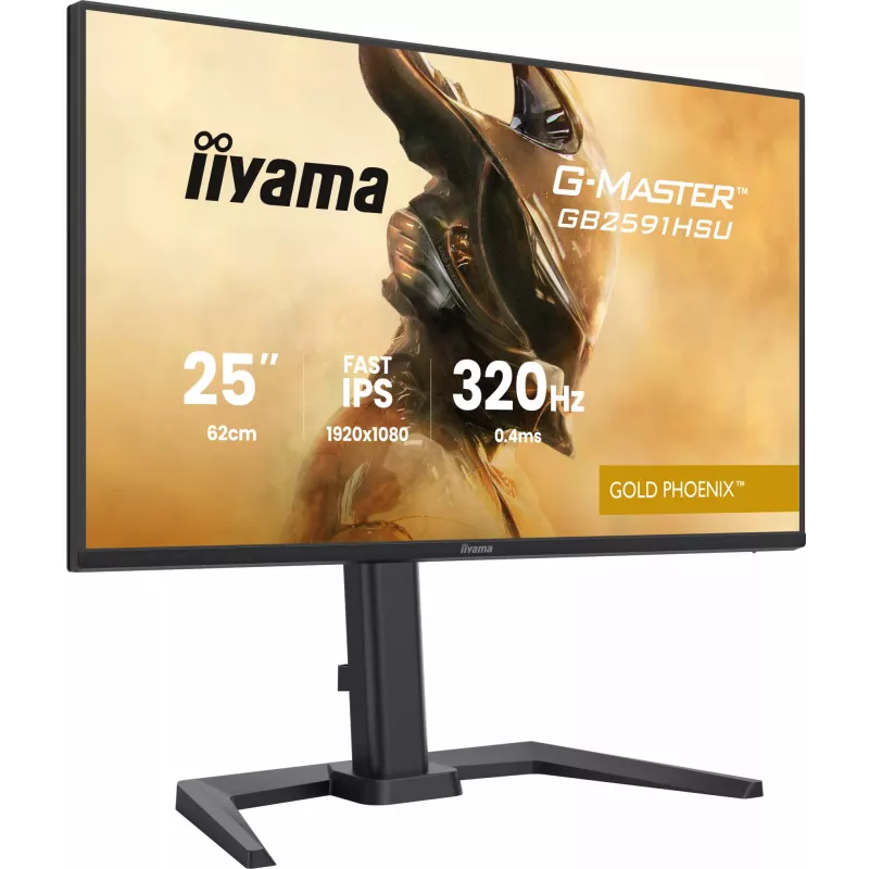 Gaming-Monitor IIYAMA G-Master GB2591HSU-B1 24,5 Zoll (68,6 cm) Full HD – HDMI/DisplayPort/USB, Schwarz