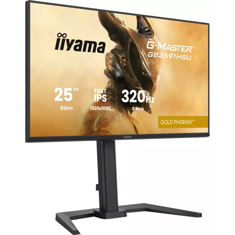 Gaming-Monitor IIYAMA G-Master GB2591HSU-B1 24,5 Zoll (68,6 cm) Full HD – HDMI/DisplayPort/USB, Schwarz